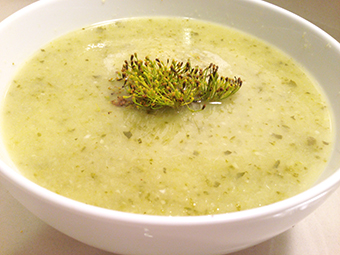 Zucchini Soup photo